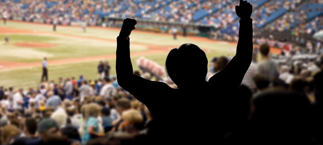 Fan cheers on team at a baseball game before injury